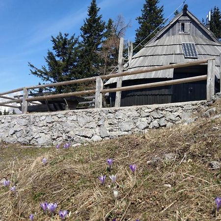 Chalet Resa - Velika Planina Stahovica Eksteriør bilde
