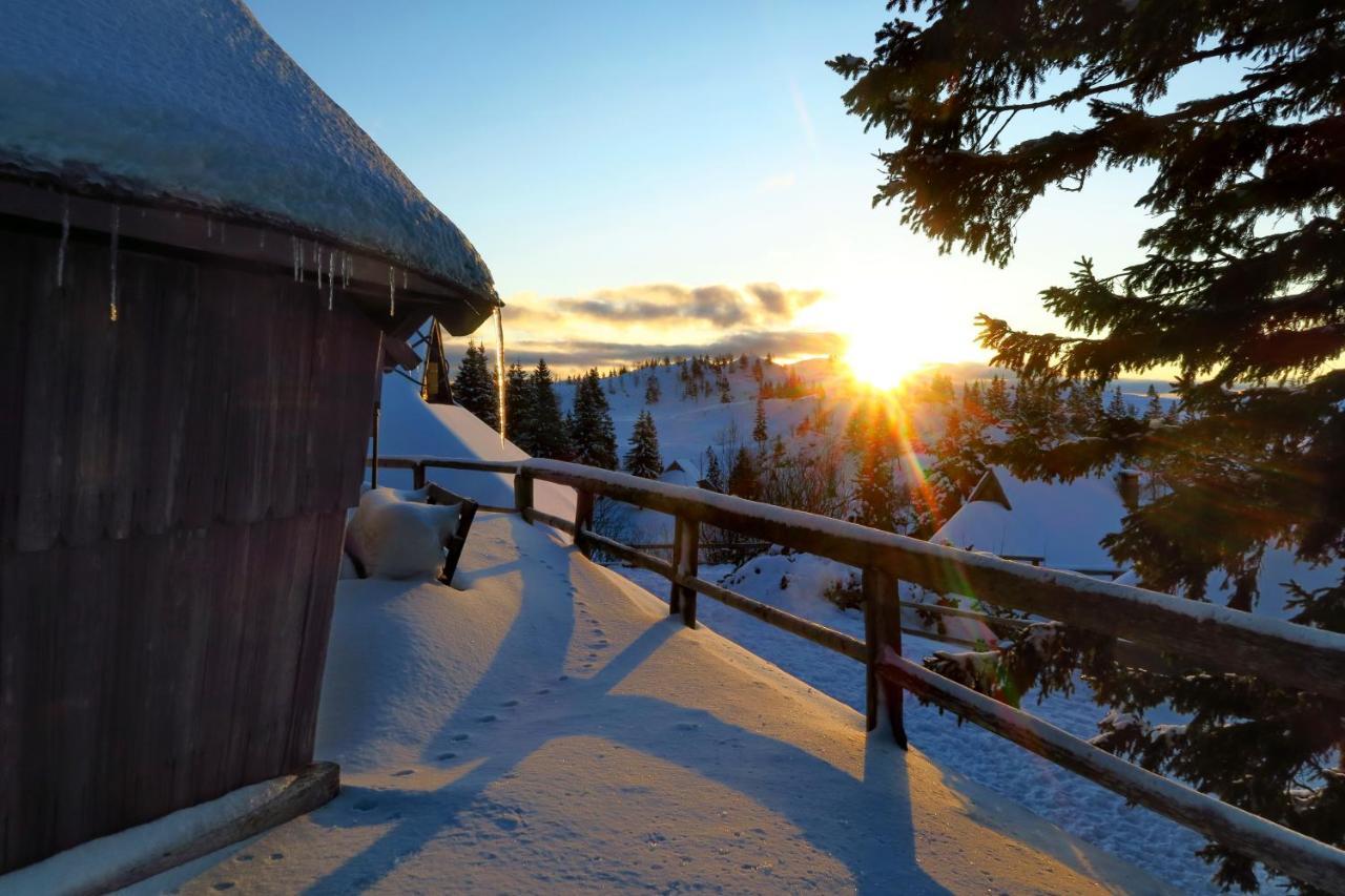 Chalet Resa - Velika Planina Stahovica Eksteriør bilde