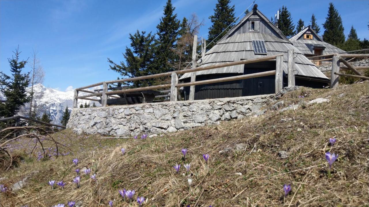 Chalet Resa - Velika Planina Stahovica Eksteriør bilde