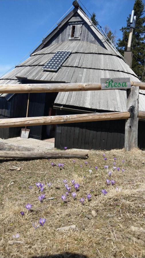 Chalet Resa - Velika Planina Stahovica Eksteriør bilde
