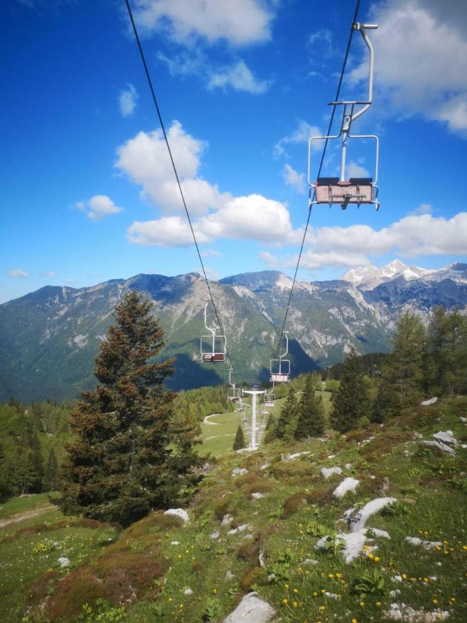 Chalet Resa - Velika Planina Stahovica Eksteriør bilde