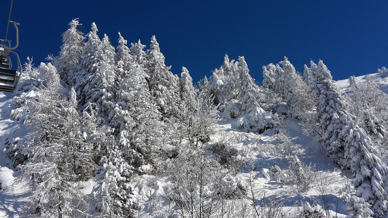 Chalet Resa - Velika Planina Stahovica Eksteriør bilde